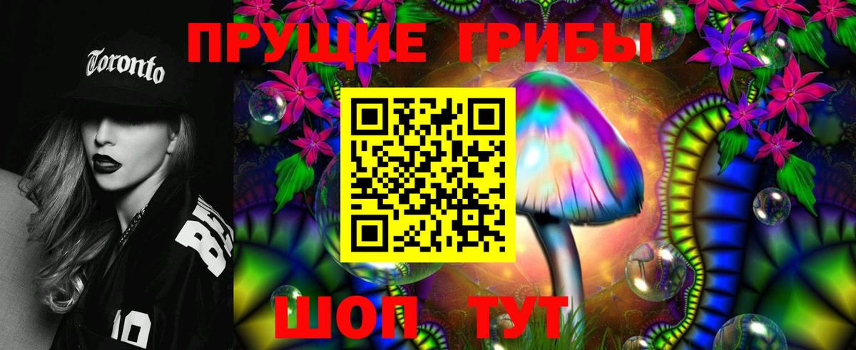 Галлюциногенные грибы Cubensis Хасавюрт