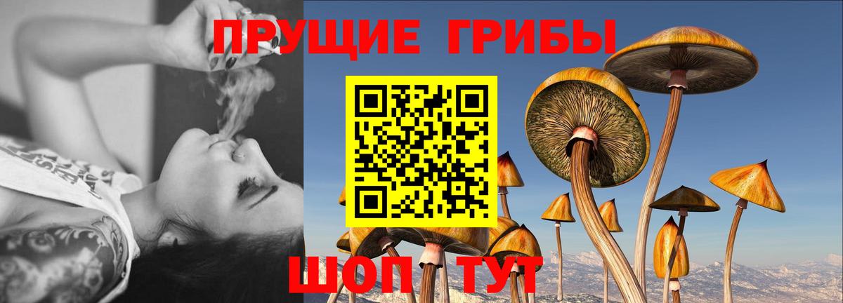 Псилоцибиновые грибы Psilocybine cubensis  Вход с VPN  Хасавюрт 